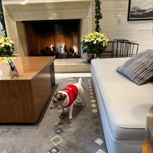 Santa dog sweater sz small fits Jack Russell size dog - Picture 2 of 3